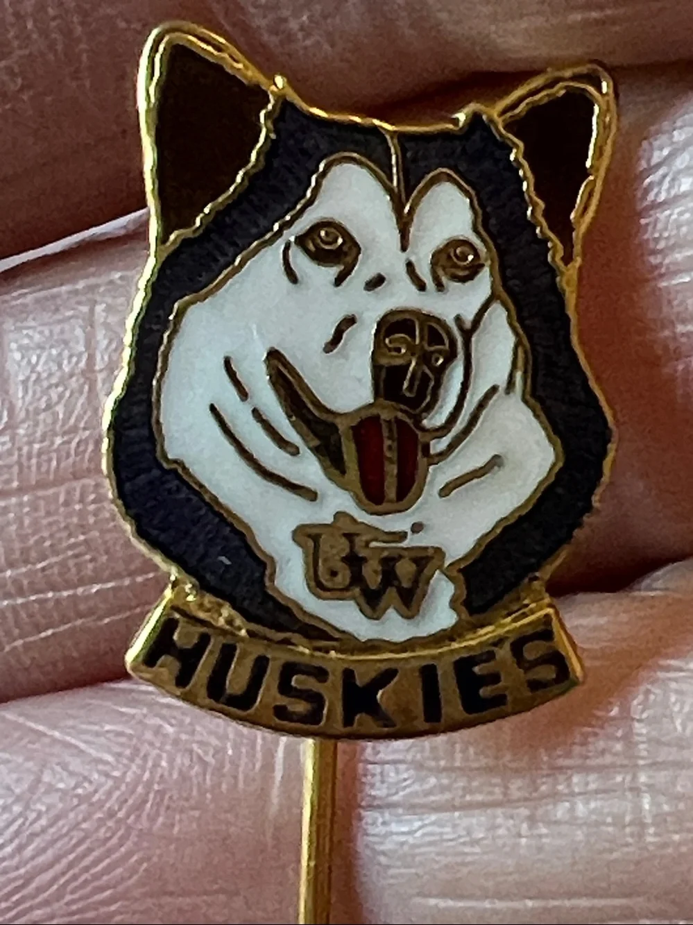 Vintage University Of Washington Huskies stick lapel pin